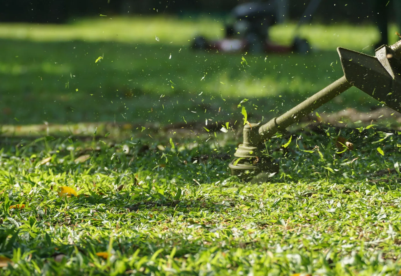 edge trimmer being used on lawn